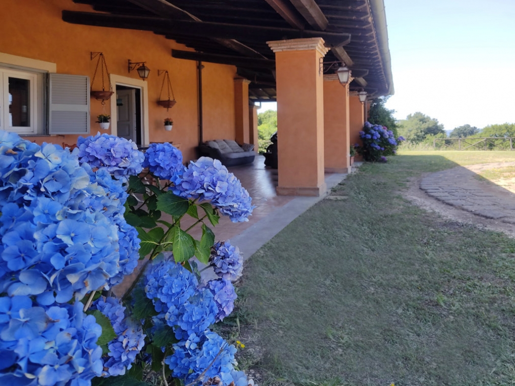 7 quasi esterno 5_20210707_112046 (FILEminimizer).jpg